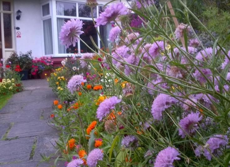 Beechlands B & B Sleights Екстериор снимка